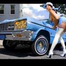 Get Ready for a Wild Ride with Ladonna